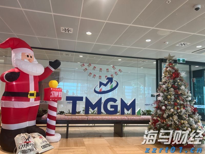 TMGM怎么样