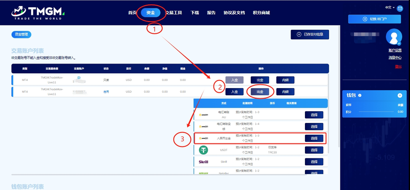 TMGM银联出金教程