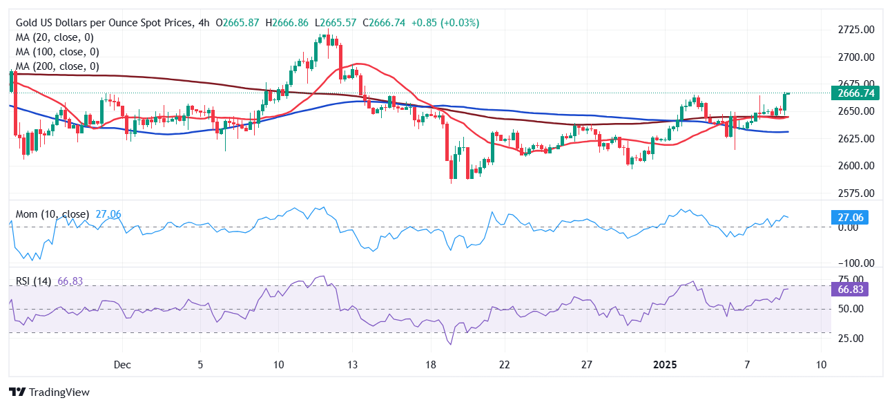 XAU/USD当前价格：$2,666.56_TMGM外汇平台